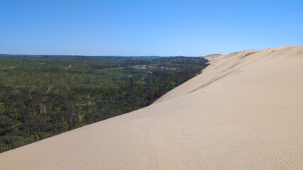 pyla french Dune du Pilat and pine forest in Gironde soutwest France