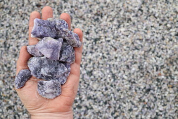 Purple Lepidolite ore held in hand. Commercial source of Lithium (Li), for lithium-ion batteries.