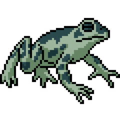 Fototapeta premium pixel art of poison green frog