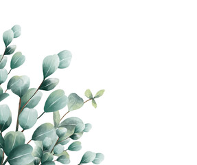 Watercolor eucalyptus frame greenery border on transparent background