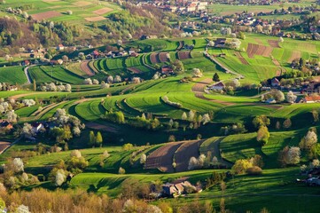 Ecological small spring fields. Spring landscape with blossom trees on a green meadows. Fresh country in Hrinova, Podpolanie region Slovakia, Europe. © Ivan