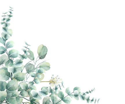 Watercolor Eucalyptus coner Frame. Perfect wedding stationary, greetings, fashion, backgroun