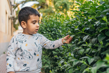 Young child in a garden touching leaves with focused expression. Young boy filled with curiosity...