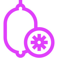 Kiwi Vector Icon Design Illustration