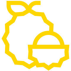 Lychee Vector Icon Design Illustration