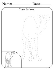 Camel Printable Activity Page for Kids. Educational Resources for School for Kids. Kids Activity Worksheet. Trace and Color the Shape