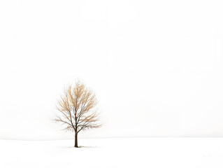 Obraz premium Minimalist scene of a solitary tree in a snowy field