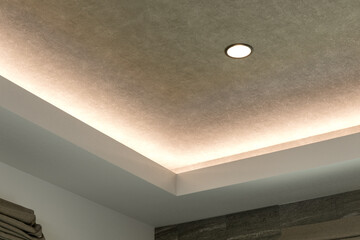 折上げ天井のある居室・間接照明