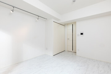 ワンルームマンションの居室、日本の住宅