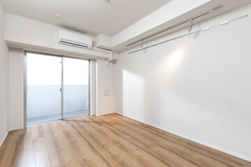 ワンルームマンションの居室、日本の住宅
