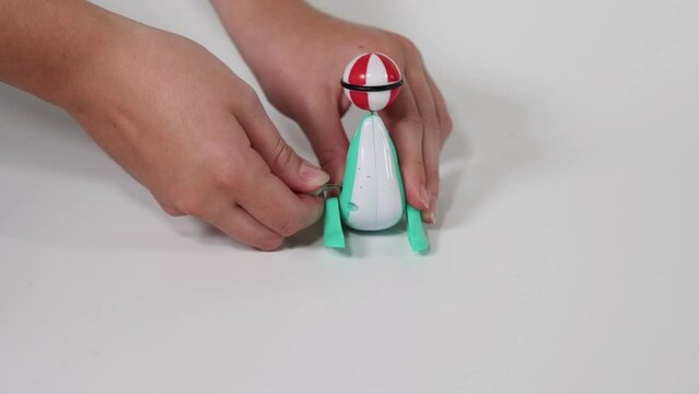 Wind-Up Seal Toy in Action