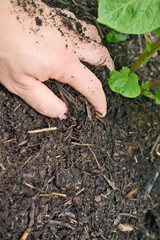 Kompost - Gartenarbeit 