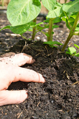 Kompost - Gartenarbeit 