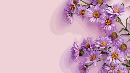 Beautiful aster flowers on color background with space