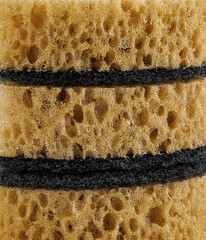 Background, surface of a household sponge.