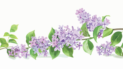 Beautiful lilac flowers on white background Vector illustration