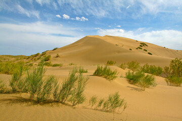 
Altyn-Emel National Park is a national park in Kazakhstan. The park covers an area of ​​about 4600 km² between the Ili River and the Ak-Tau mountain range.