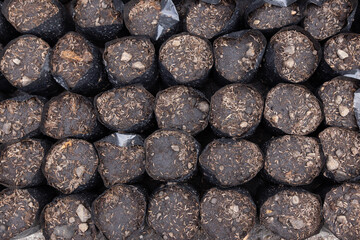 Top view of a bag of soil for planting trees. arranged in an orderly manner, saplings in plant...