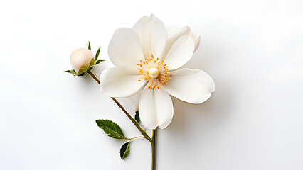 Beautiful flowers bring back memories.