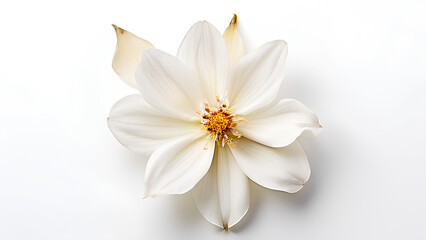 Beautiful flowers bring back memories.