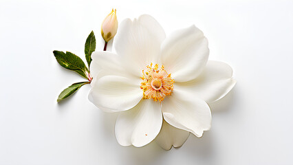 Beautiful flowers bring back memories.