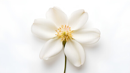 Beautiful flowers bring back memories.