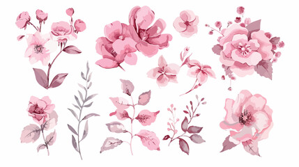Watercolor pink floral elements and bouquet collectio
