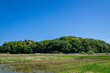 田園風景