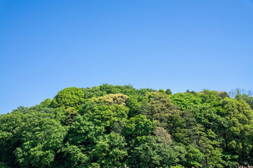 田園風景