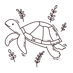 hand drawn vector illustration of turtle