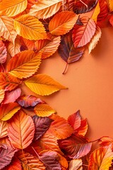 Obraz premium Autumn foliage viewed from above on orange background with generous room for accommodating text
