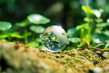 Globe, crystall, natural forest background