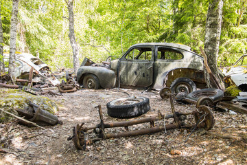Forgotten combustion car cemetery in a forest