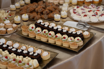 chocolate cake on a white background