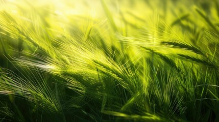 A closeup shot capturing the movement of tall terrestrial plants in a windy natural landscape. The grassland sways gracefully in the wind AIG50