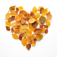Fototapeta premium Heart made of auntumn leafs isolated on white backgrond