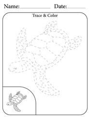 Sea Turtle Printable Activity Page for Kids. Educational Resources for School for Kids. Kids Activity Worksheet. Trace and Color the Shape