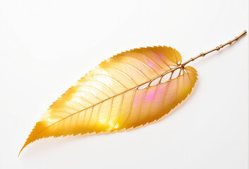 Yellow Leaf with Orange and Greenish Shades on White Background, Backlit for Expressive Texture
