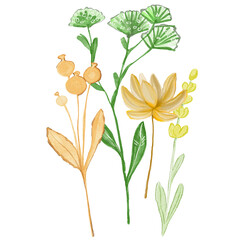 illustration of a flower, hand drawn beautiful dried flowers