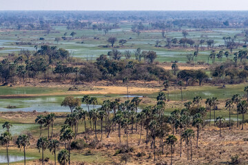 An aerial impression of the Okavango Delta, Botswana, as seen from a Helicopter.