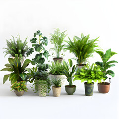 Indoor Plant Care Guide: Tips and Tricks for a Thriving Indoor Garden