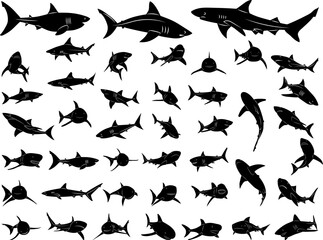 set of shark silhouettes in different poses on a white background vector