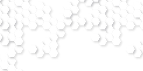 Background with hexagons . Abstract background with lines . white texture background . hexagon abstract background. Surface polygon pattern with glowing hexagon paper texture and futuristic business.