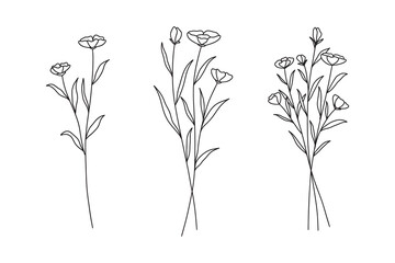 Flower line art set. Hand drawn flowers, wild plants, botanical elements for design projects. Vector illustration.