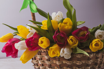 Beautiful multicolored, yellow, white, red tulips in a basket close-up on a light background. Greeting card for the holiday. Macro photography.
