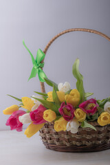 A close-up of a basket with colorful blooming tulips. Holiday card. Copyspace.