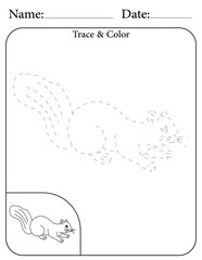 Squirrel Printable Activity Page for Kids. Educational Resources for School for Kids. Kids Activity Worksheet. Trace and Color the Shape