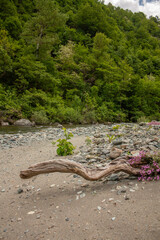 greto del fiume Orba