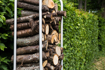 stack of firewood with green plant background