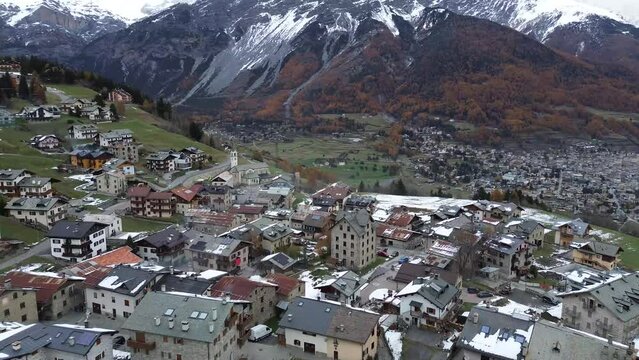 Flying over pine trees in the italian Alps